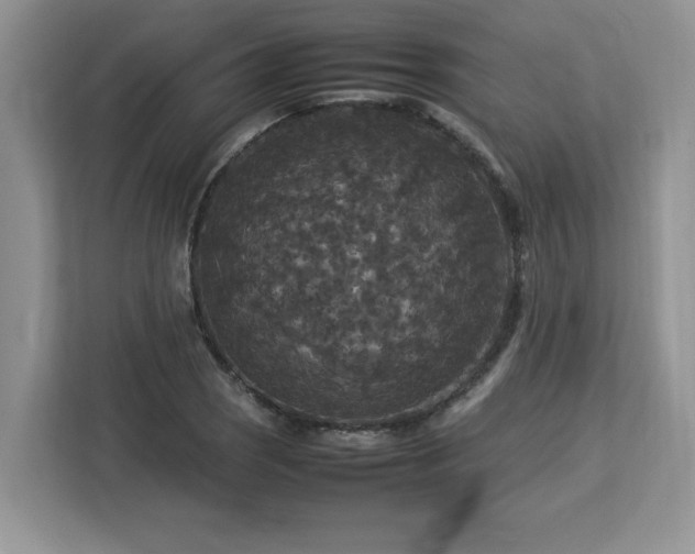 X0000113071121200908281149