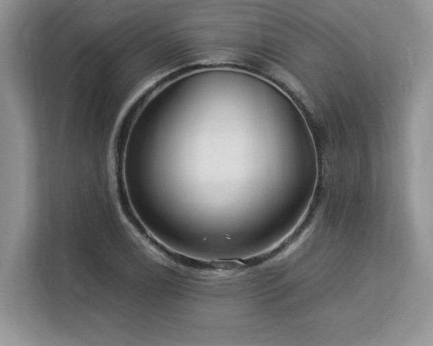 X0000113071122200908281149