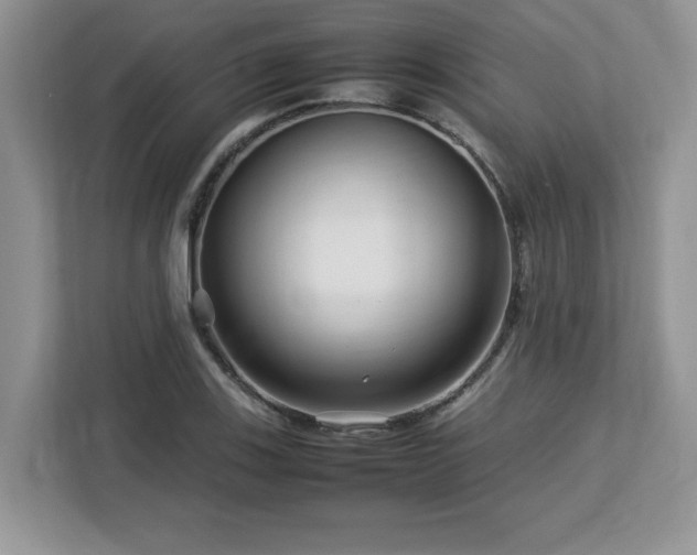 X0000113071123200908281149