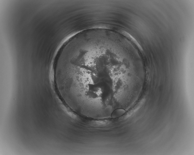 X0000113071125200908281149