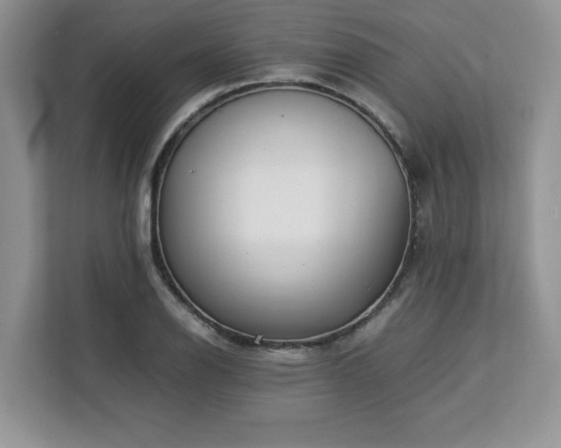 X0000113071126200908281149