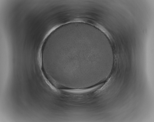 X0000113071127200908281149