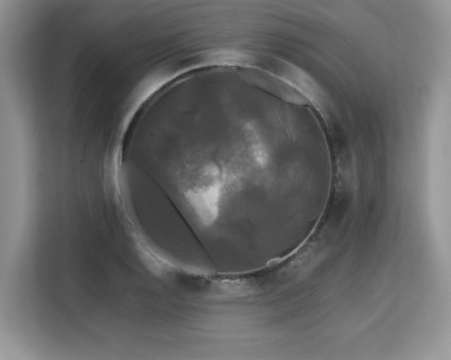 X0000113071128200908281149