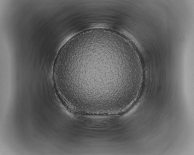 X0000113071129200908281149