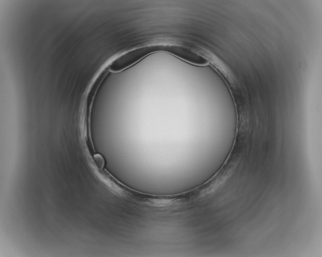 X0000113071132200908281149