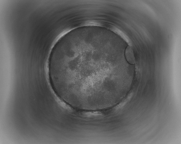 X0000113071133200908281149