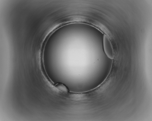 X0000113071134200908281149