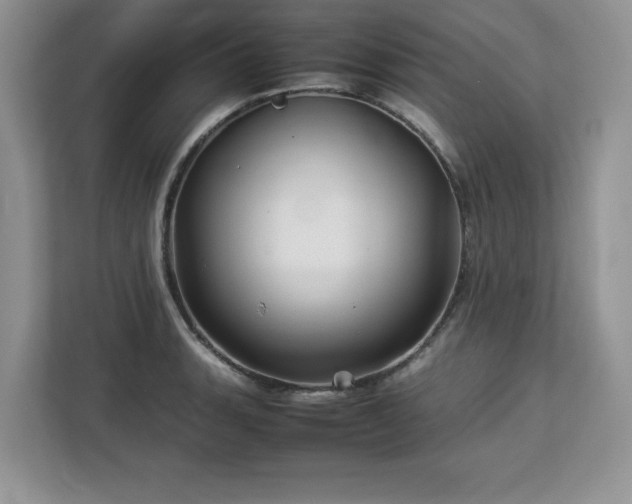 X0000113071135200908281149