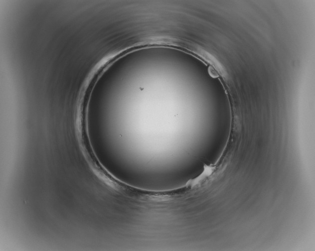 X0000113071136200908281149