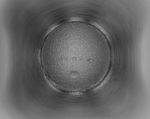 X0000113071137200908281149