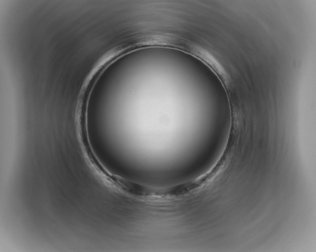 X0000113071138200908281149