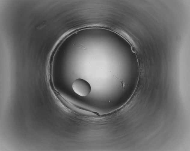 X0000113071140200908281149