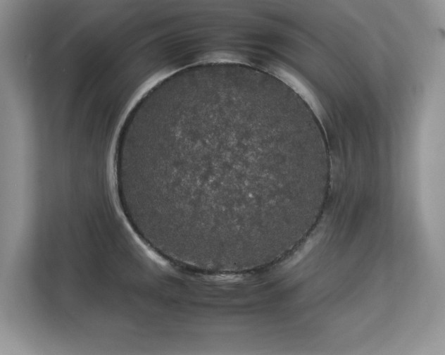 X0000113071141200908281149