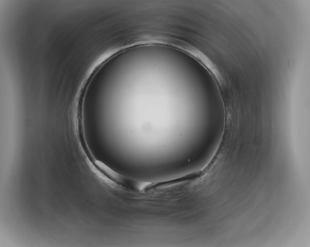 X0000113071143200908281149
