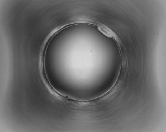X0000113071144200908281149