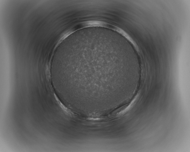 X0000113071145200908281149