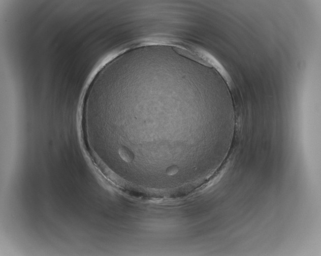X0000113071146200908281149