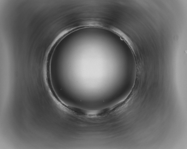 X0000113071147200908281149