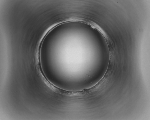 X0000113071148200908281149