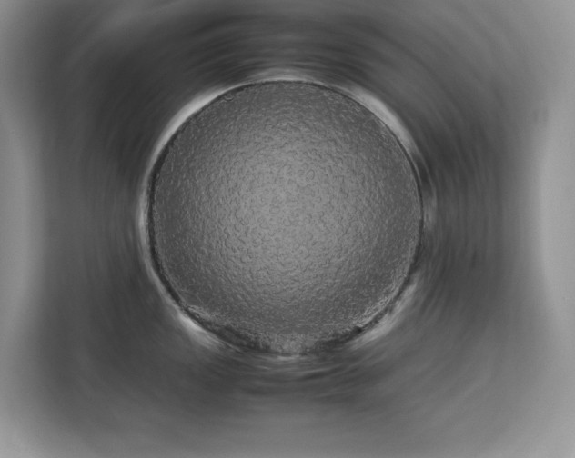 X0000113071149200908281149