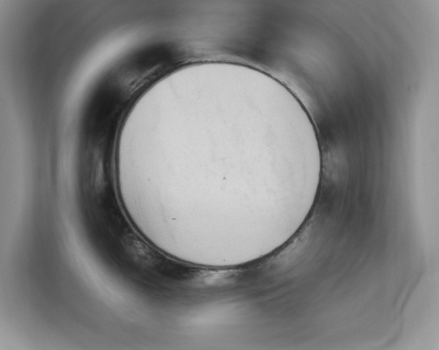 X0000113071150200908281149