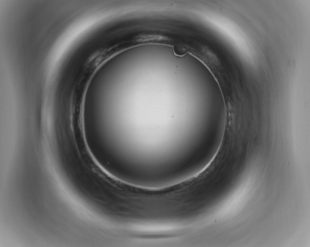 X0000113071151200908281149