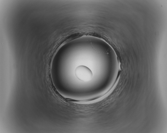 X0000113071153200908281148