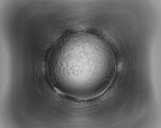 X0000113071156200908281148