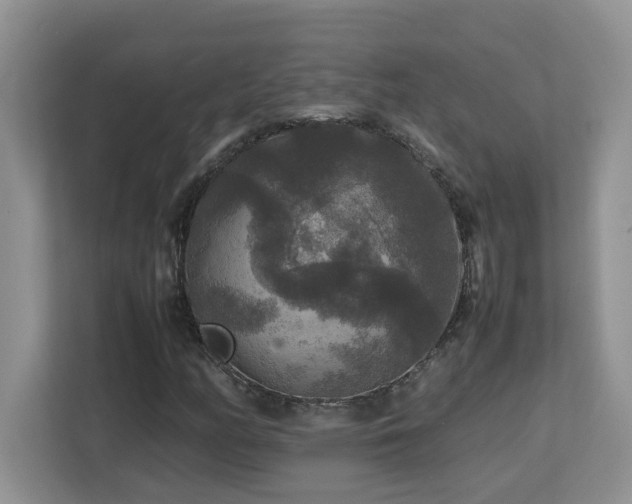 X0000113071158200908281148