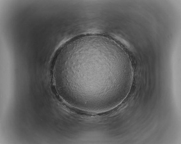X0000113071160200908281148