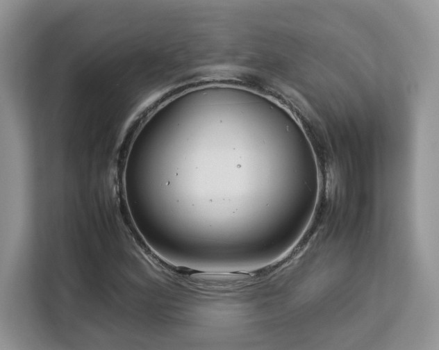X0000113071164200908281148