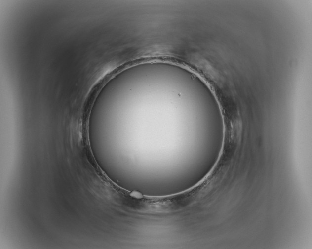 X0000113071165200908281148