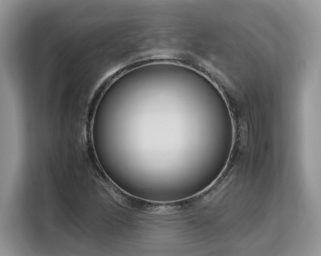 X0000113071166200908281148