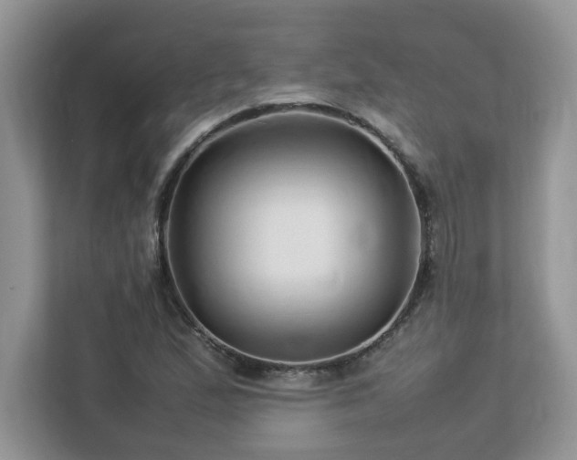 X0000113071167200908281148