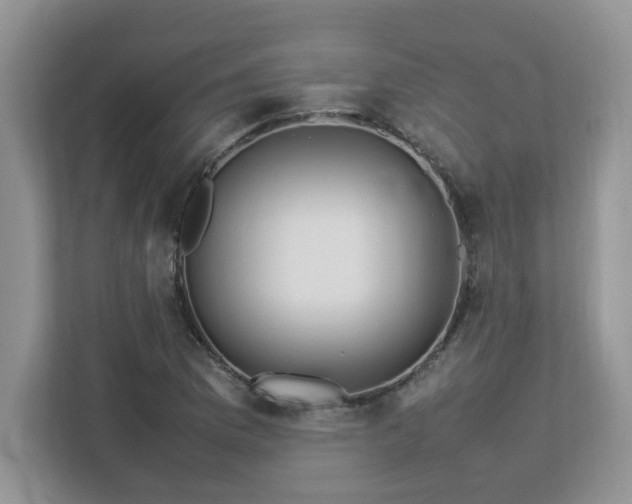 X0000113071169200908281148