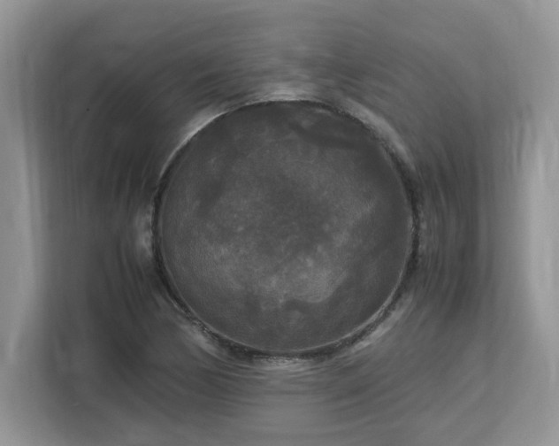 X0000113071170200908281148