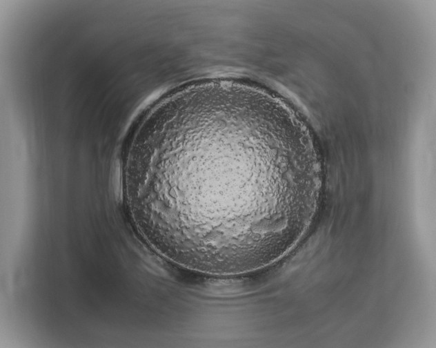 X0000113071171200908281148