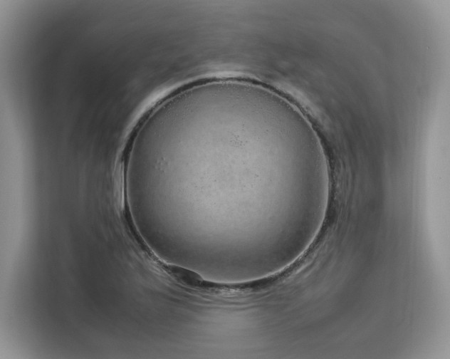 X0000113071175200908281148