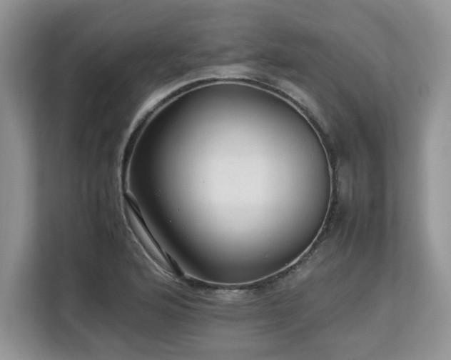 X0000113071176200908281148