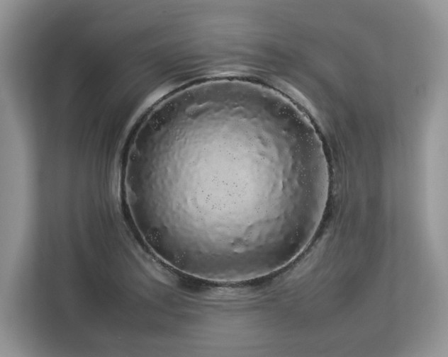 X0000113071179200908281148