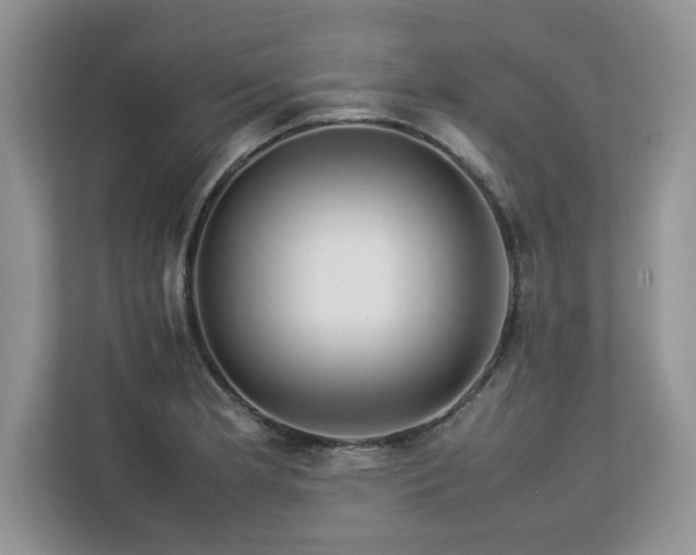 X0000113071181200908281148