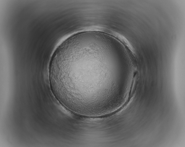 X0000113071184200908281148