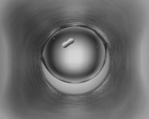 X0000113071185200908281148
