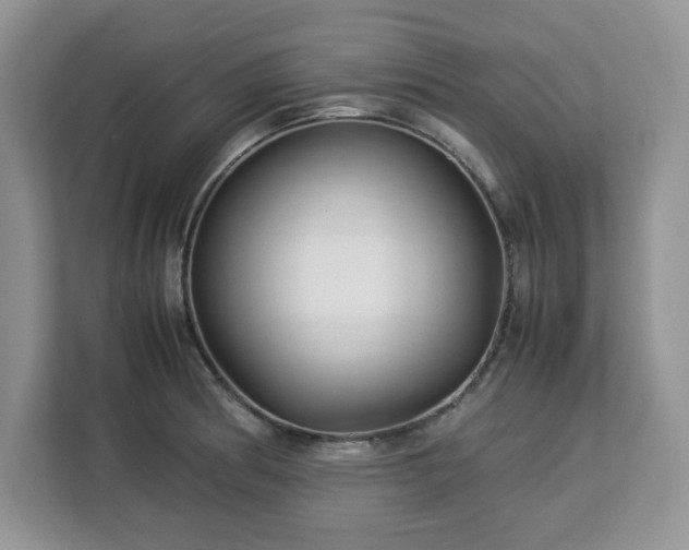X0000113071186200908281148