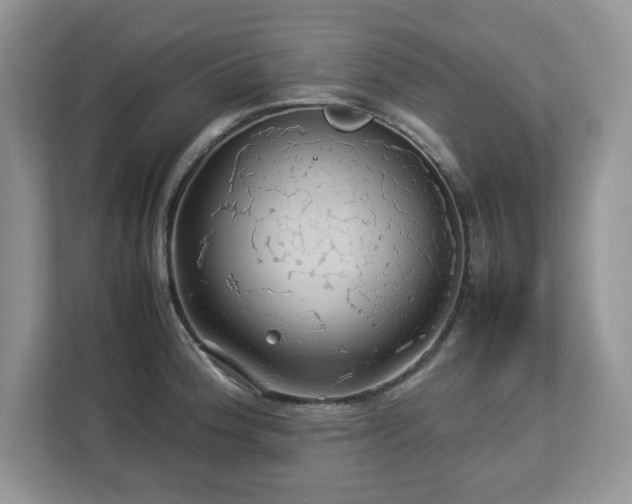 X0000113071188200908281148