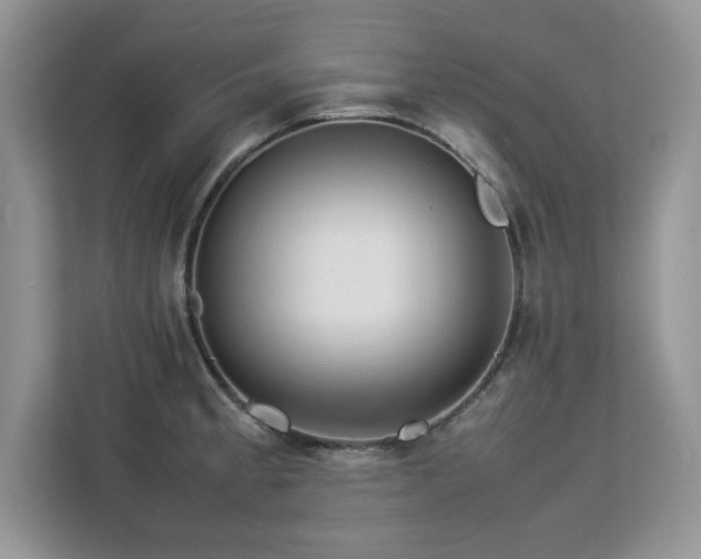 X0000113071189200908281148