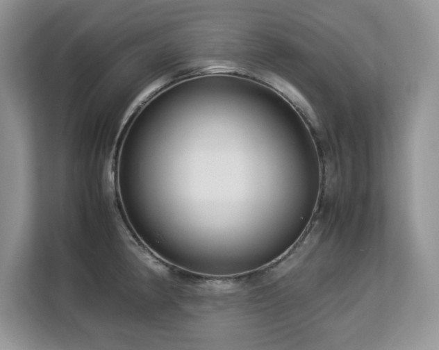 X0000113071190200908281148