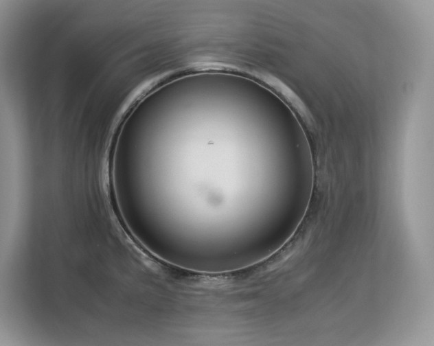 X0000113071191200908281148