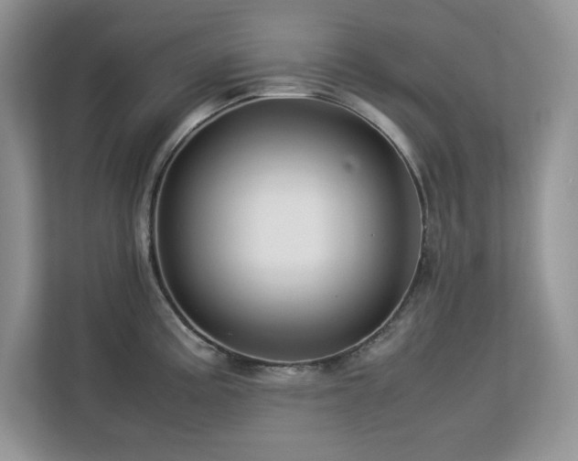 X0000113071195200908281148