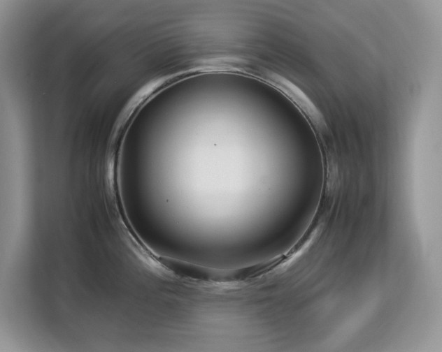 X0000113071196200908281148